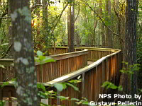 Big Cypress National Preserve