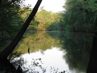 Congaree National Park