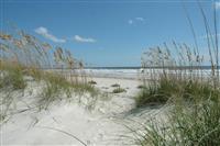 Cumberland Island National Seashore