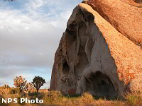 Mojave National Preserve