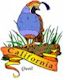 California Valley Quail, California's state bird