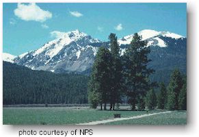 Coyote Valley Trail in Rocky Mountain National Park