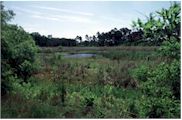 Fort Caroline National Memorial - Spanish Pond