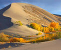 Bruneau Dunes State Park