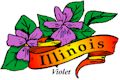 Violet, Illinois' state flower 