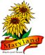 Black-Eyed Susan, Maryland's state flower