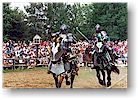 Michigan Renaissance Festival