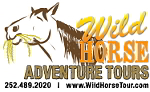 Wild Horse Adventure Tours