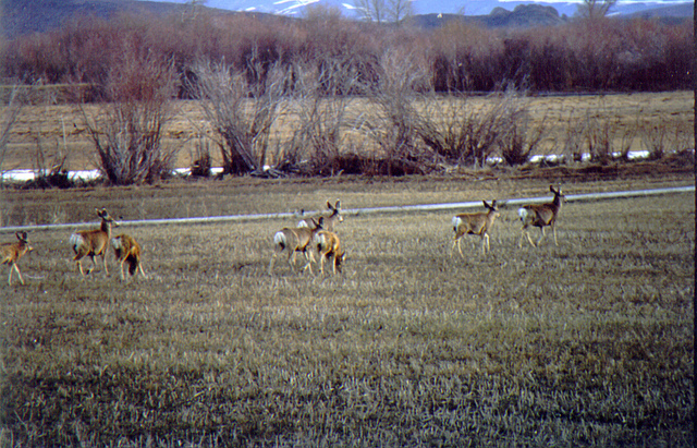 Arrowwood National Wildlife Refuge