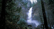 Golden And Silver Falls State Park