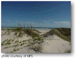 Padre Island National Seashore