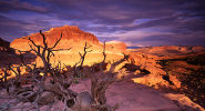 Capitol Reef National Park