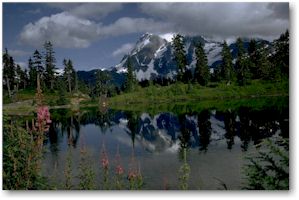 Mount Rainier National Park